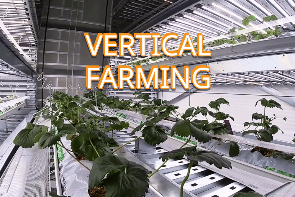 Smart Warehousing Applications in Plant Micropropagation
